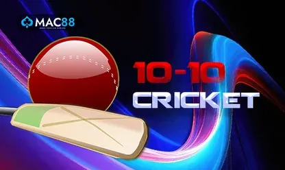 10-10 Cricket game at 11xplay