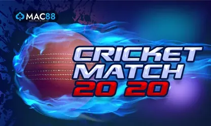 Cricket 20-20 game at 11xplay