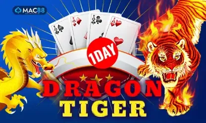 Dragon Tiger One Day game at 11xplay