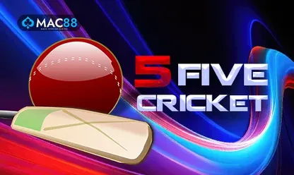 Five Cricket game at 11xplay