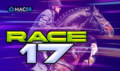 Race 17 game at 11xplay